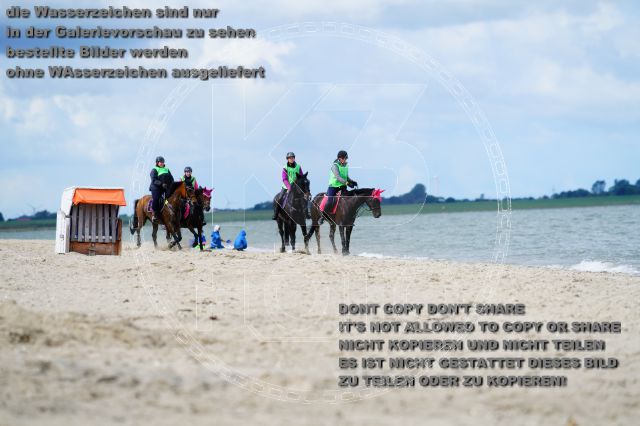 s_K3F05133.JPG